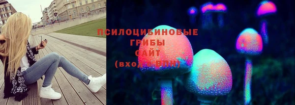 ECSTASY Богородицк