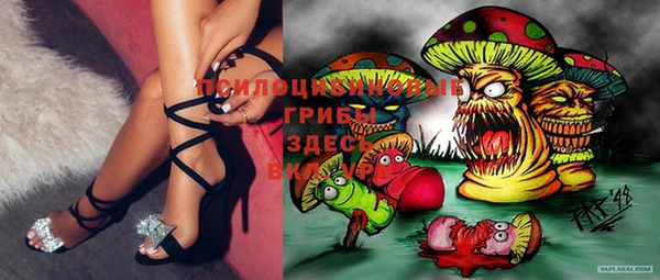 прущая мука Богданович