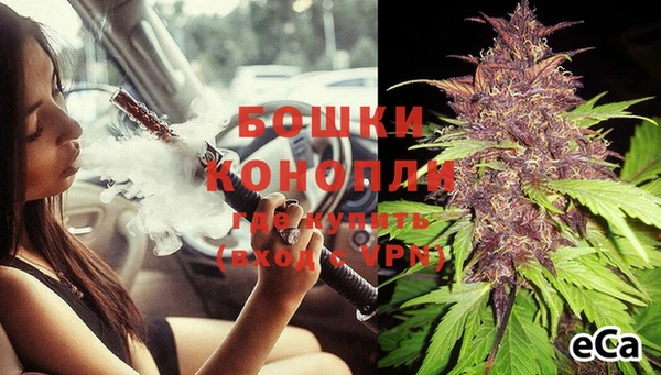 прущая мука Богданович